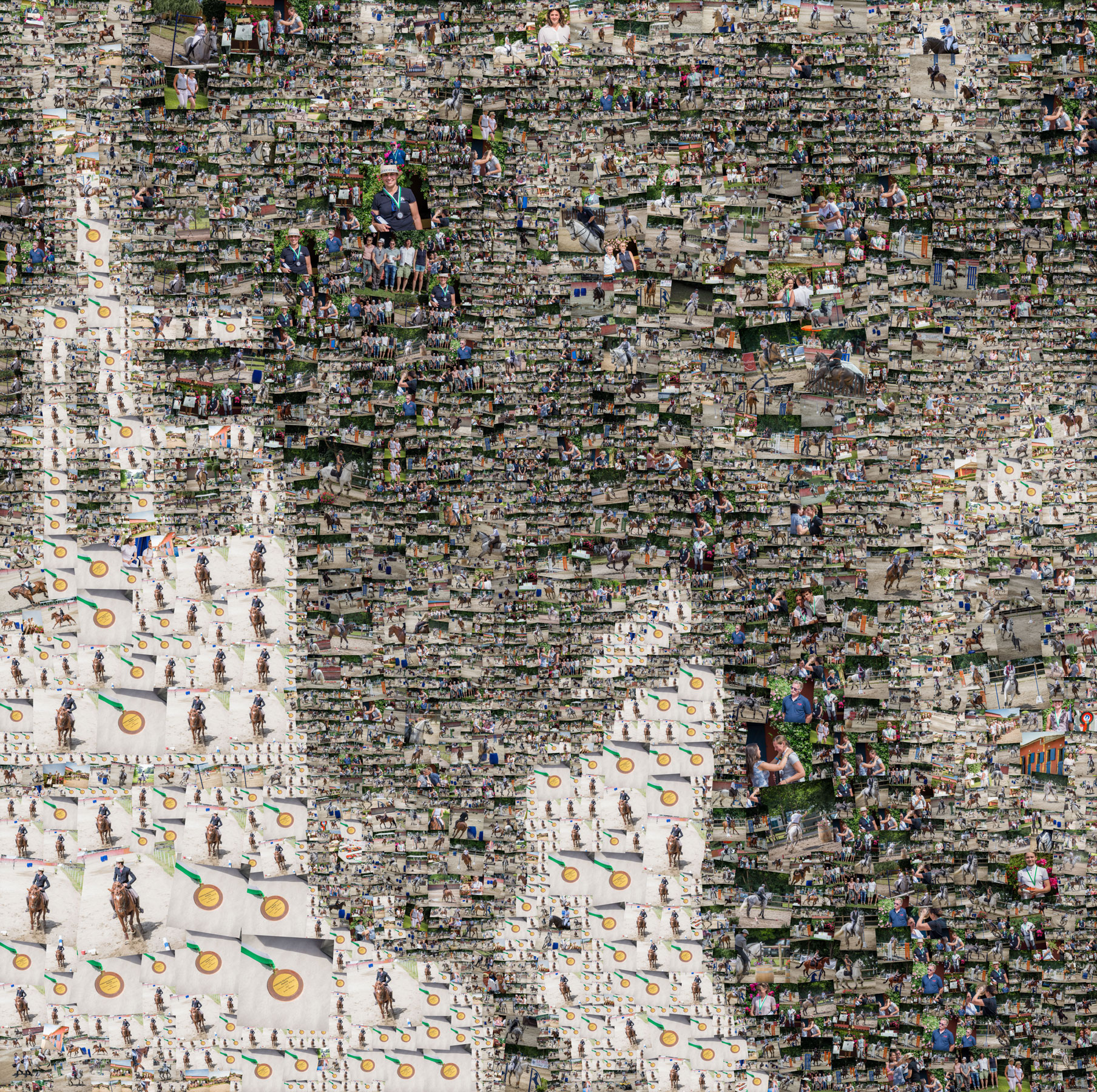 Concours national équitation de travail aux Écuries de Blanzac (Saint-Magne-de-Castillon) le 26 & 27 mai 2017