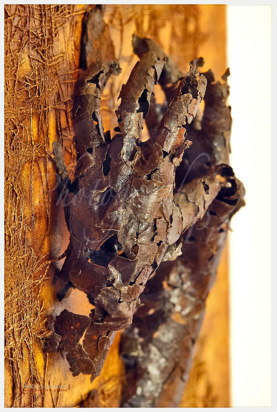 Yan BACART, artiste à Mortain - Abbaye Blanche © by A-la-Vie.com