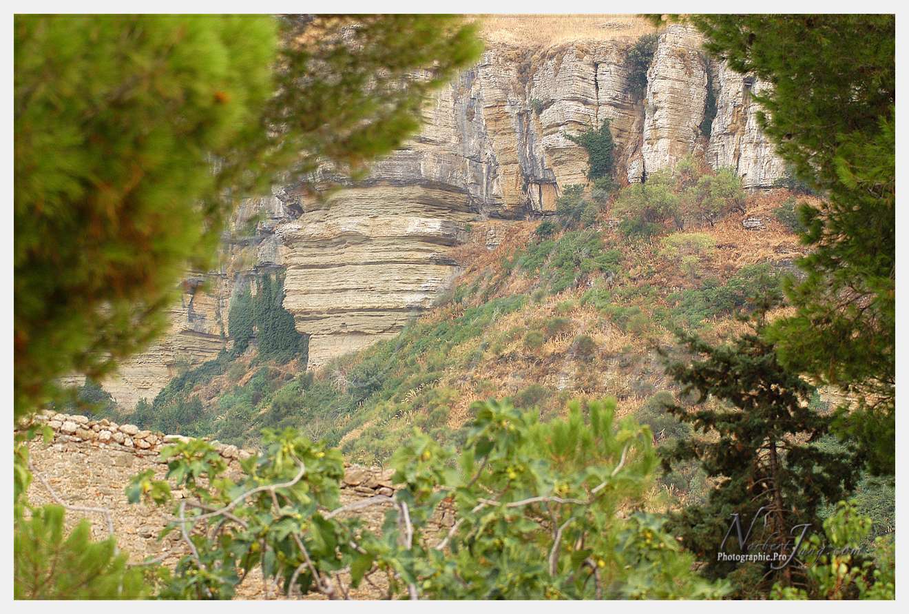 Franciscaini Rinovati  Corleone (Sicile) © by A-la-Vie.com