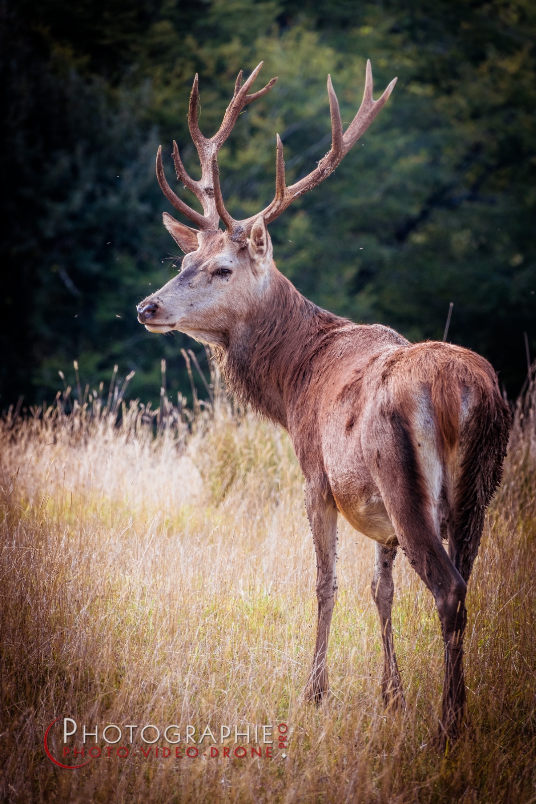 S1049305 © by A-la-Vie.com