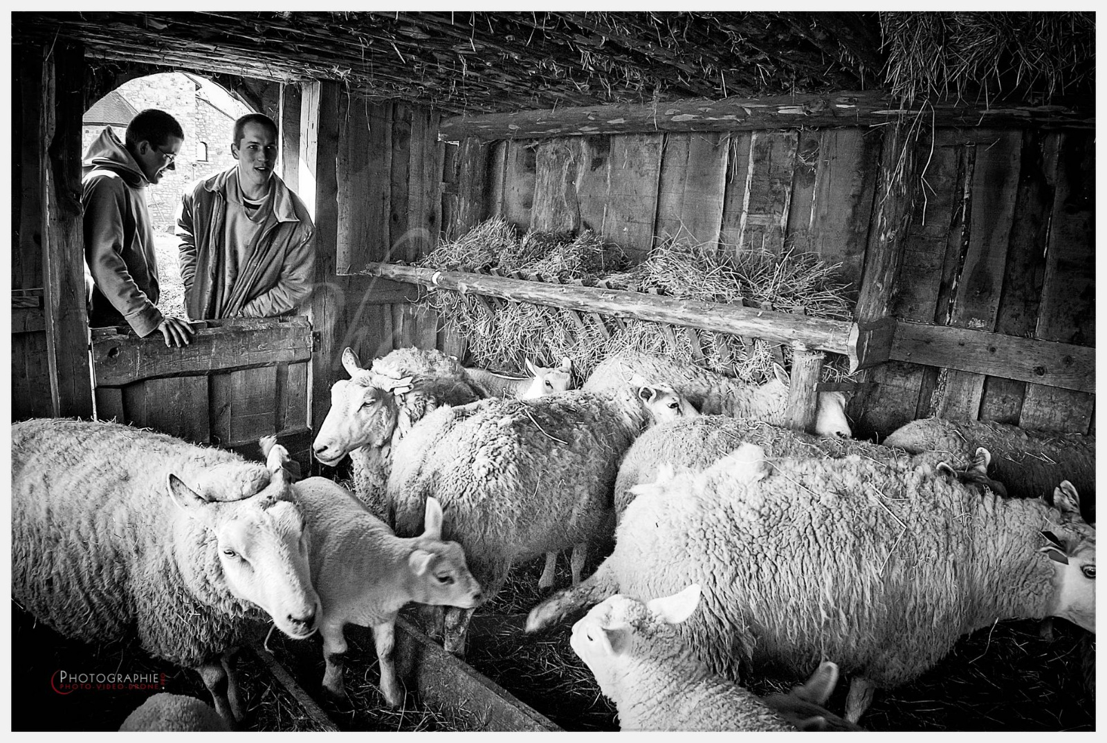 D2216680_1 © by A-la-Vie.com