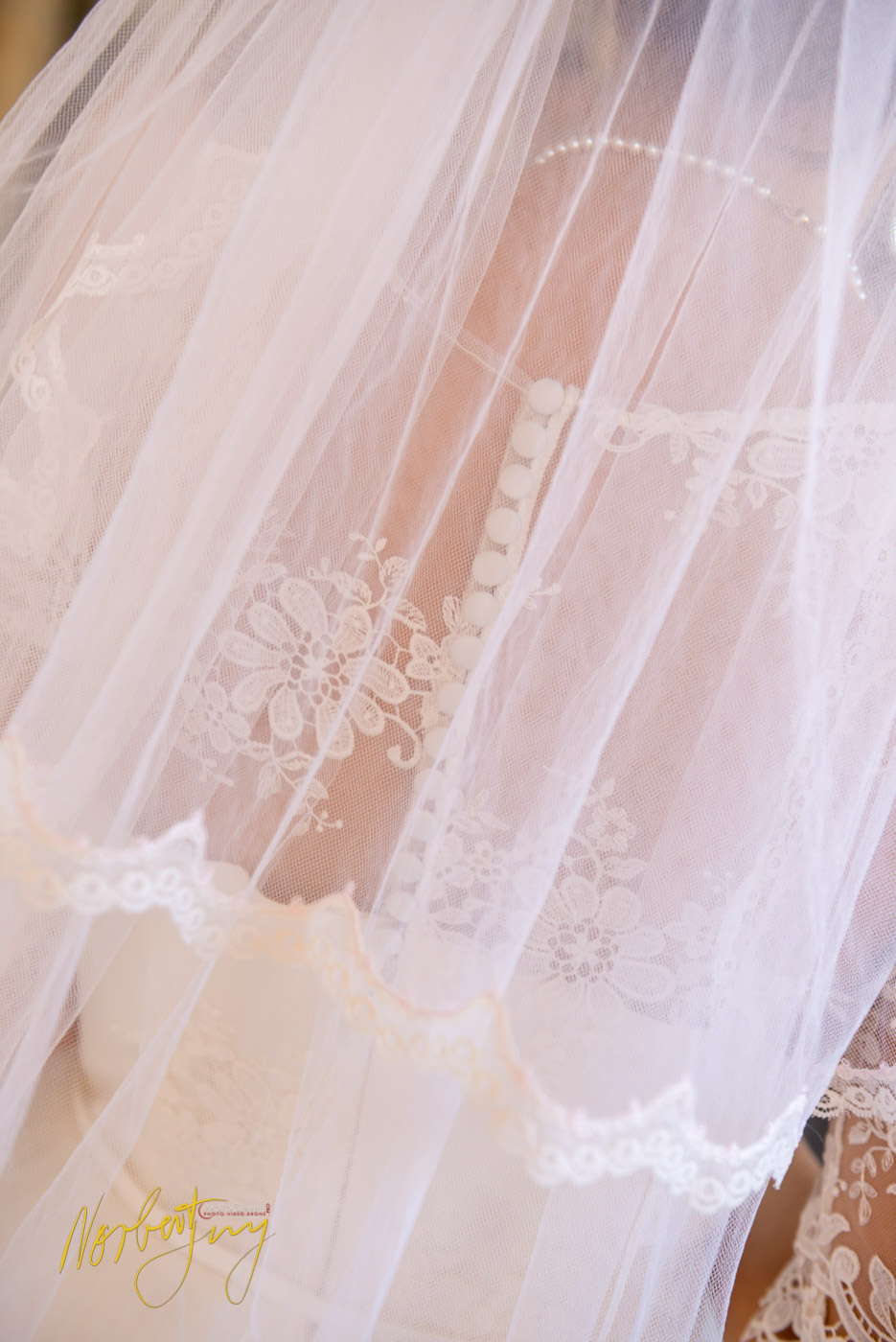 Photos Mariage D Et P C