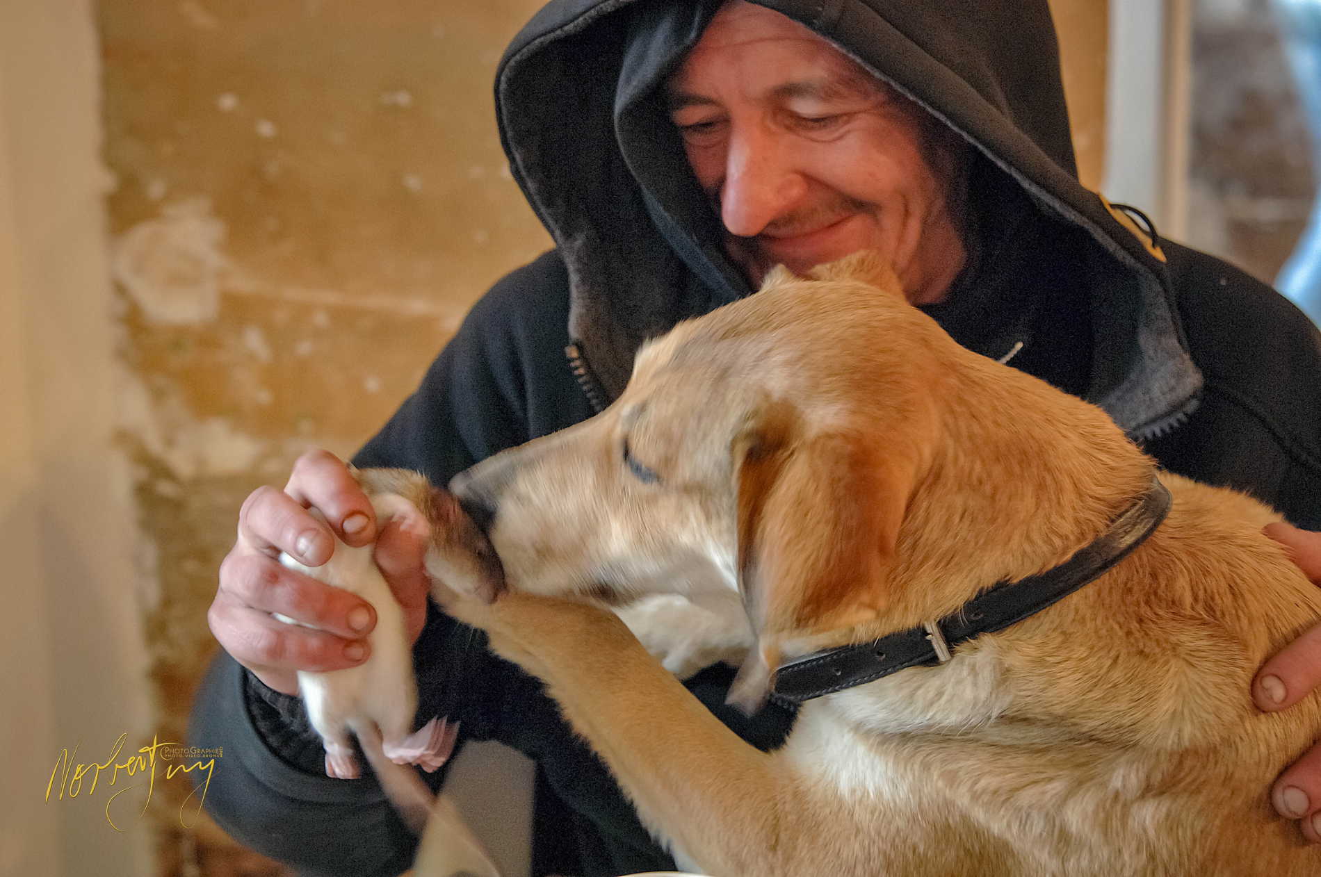 Aux captifs la libÈration © by A-la-Vie.com